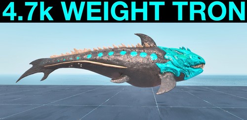 Top stats 510m weight - top,