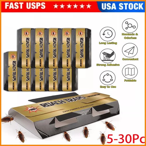 30pcs pest roach glue trap - glue,